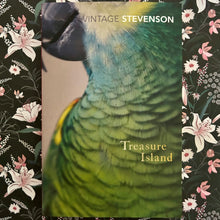 Load image into Gallery viewer, Robert Louis Stevenson - Treasure Island
