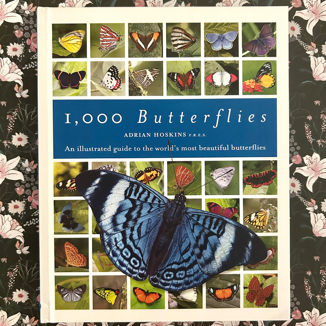 Adrian Hoskins - 1,000 Butterflies