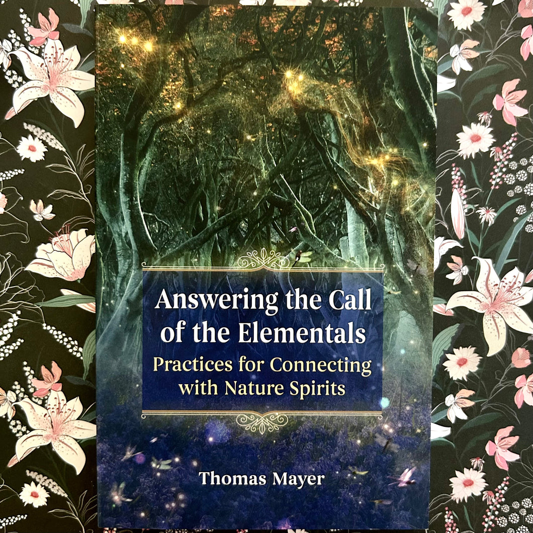 Thomas Mayer - Answering the Call of the Elements