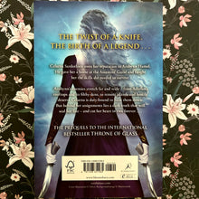 Load image into Gallery viewer, Sarah J. Maas - The Assassin&#39;s Blade
