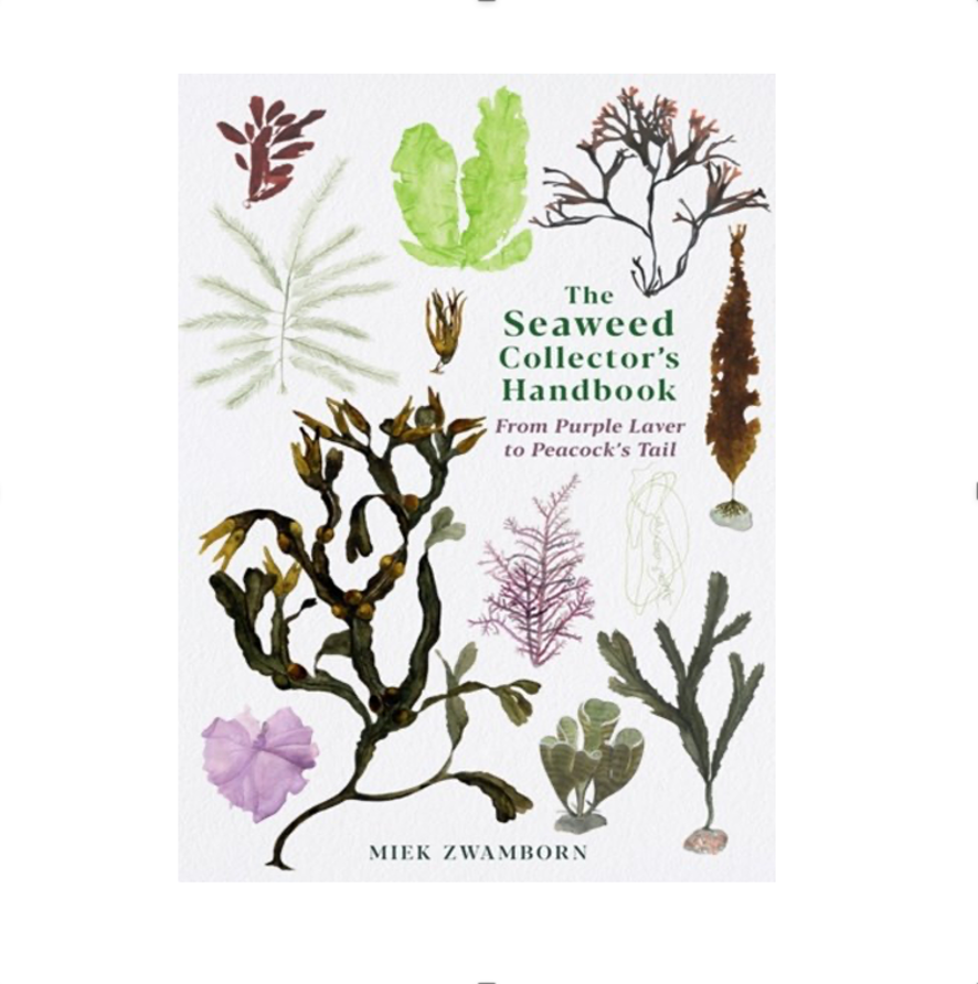 Miek Zwamborn - The Seaweed Collector's Handbook