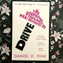 Load image into Gallery viewer, Daniel H. Pink - Drive

