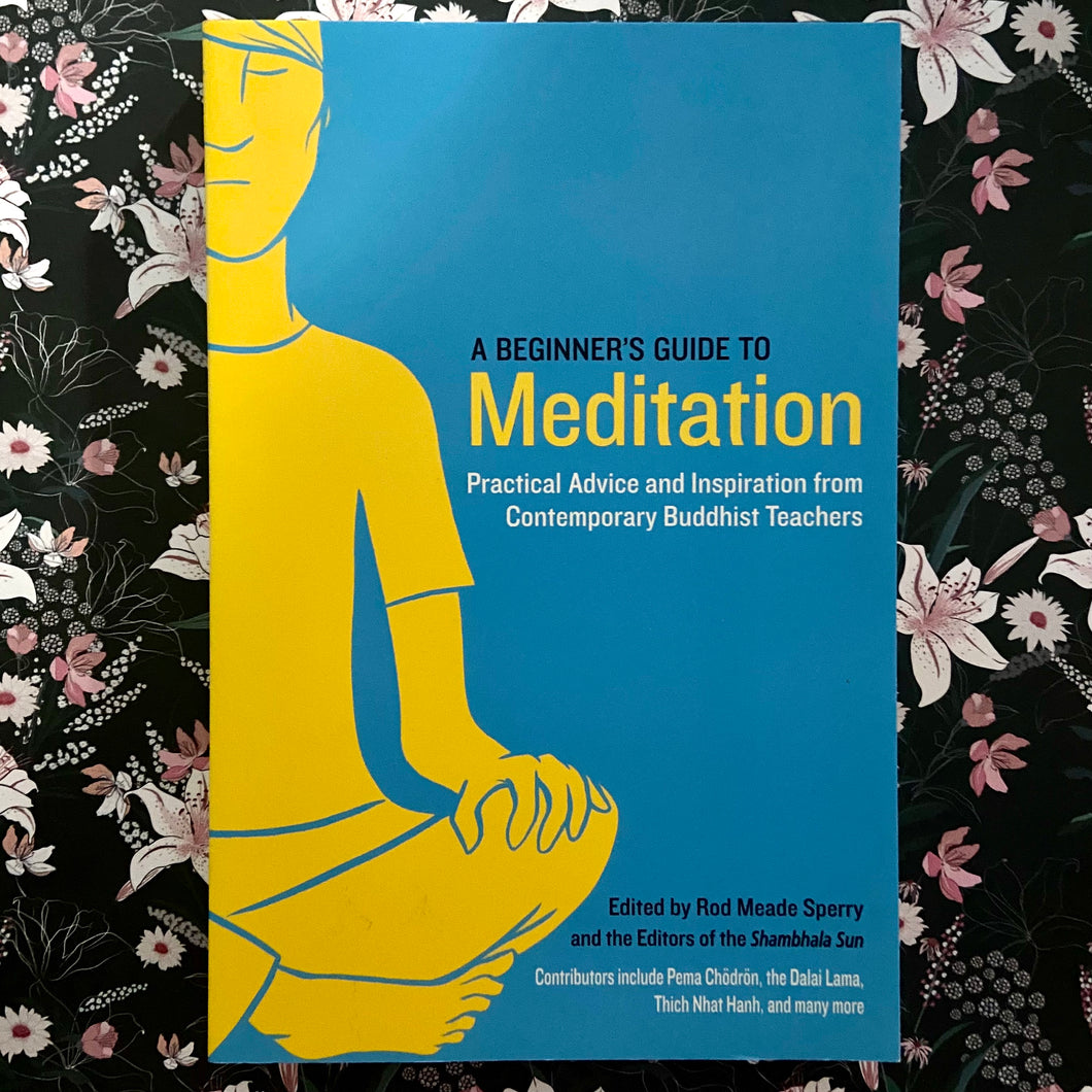 Rod Meade Sperry - A Beginner's Guide to Meditation